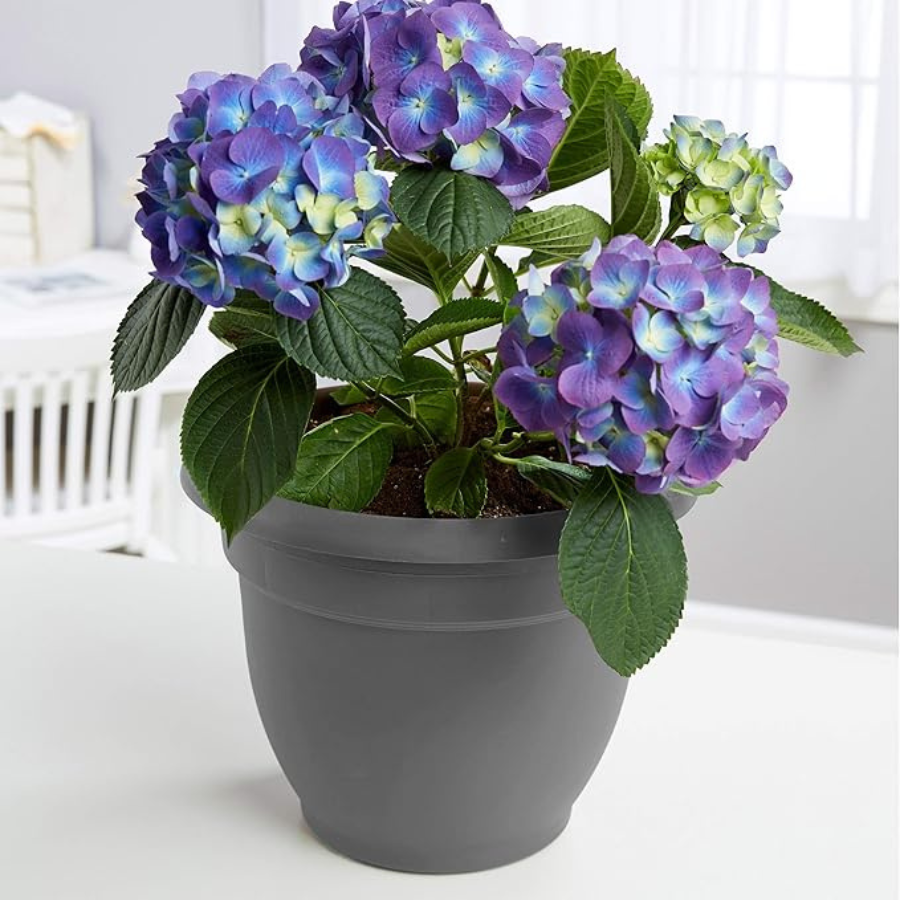 Self Watering Garden Planter